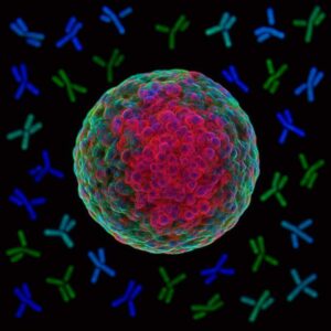 Targeting Tumors Smarter: How Organoids Accelerated the Rise of Petosemtamab (MCLA-158)